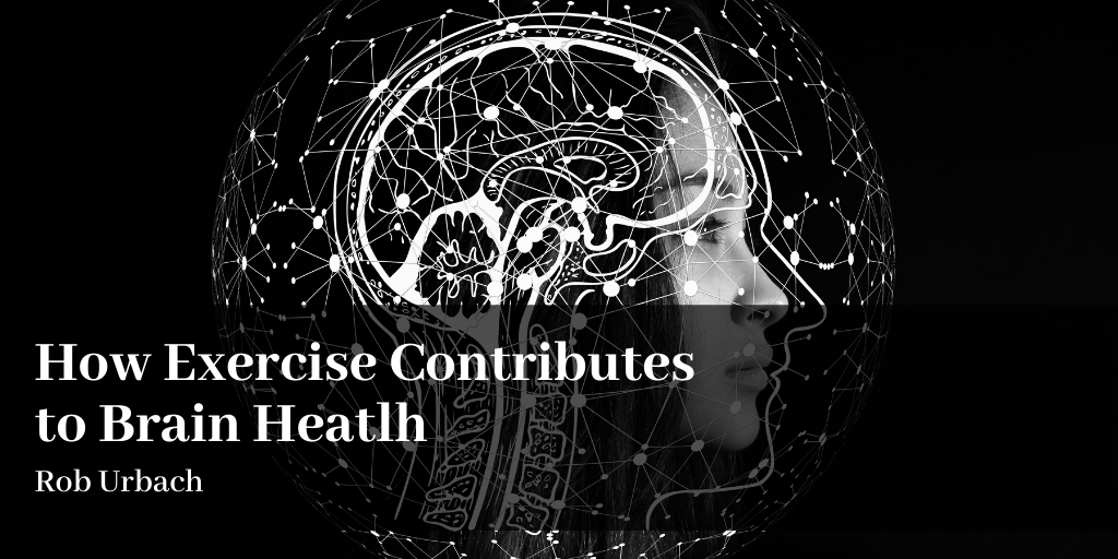 How Exercise Contributes to Brain Health